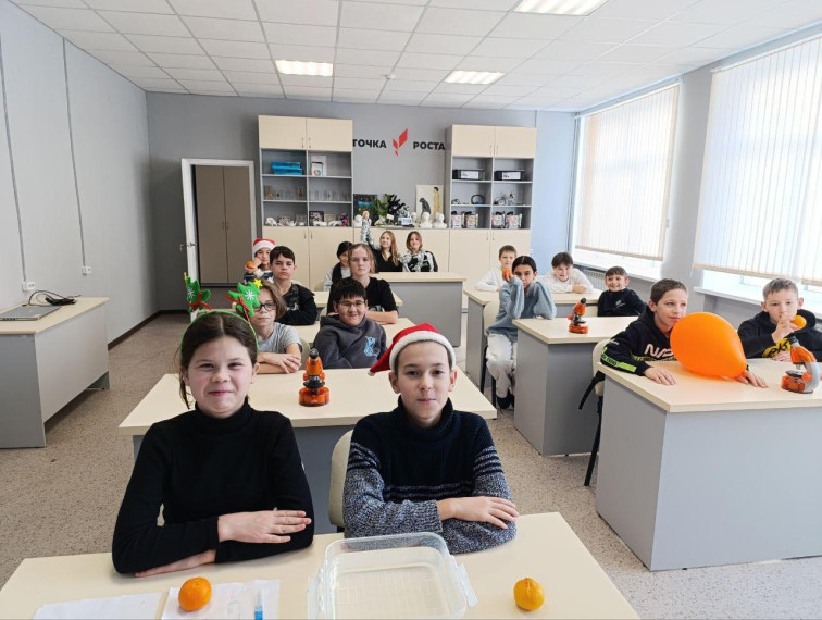 "Анатомия мандарина".